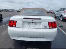 Ford Mustang Image 6