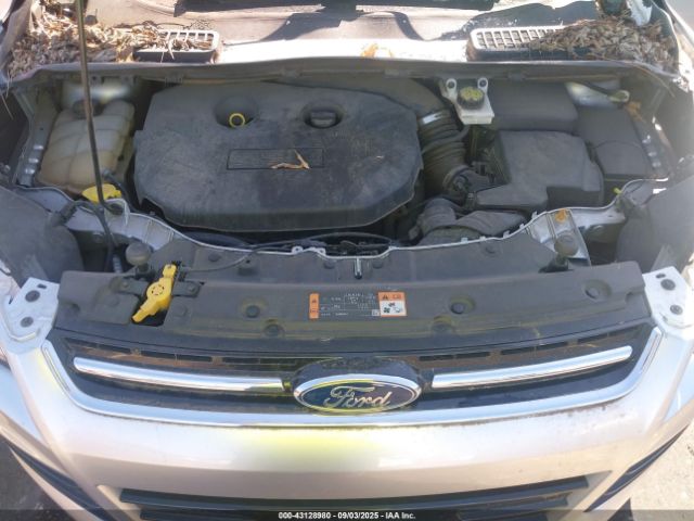 Ford Escape Titanium Image 9