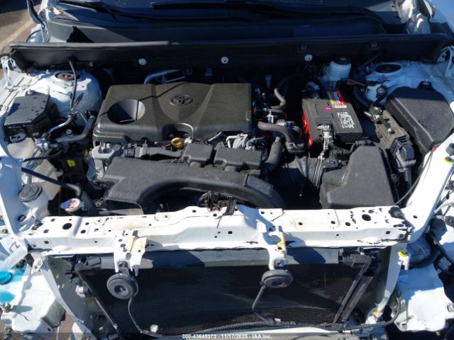 Toyota RAV4 Xle Image 10