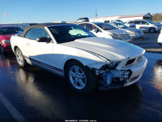 Ford Mustang V6 Image 1