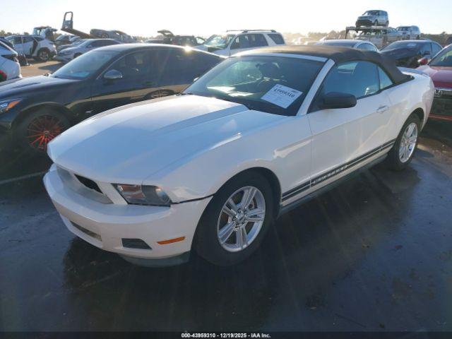 Ford Mustang V6 Image 3