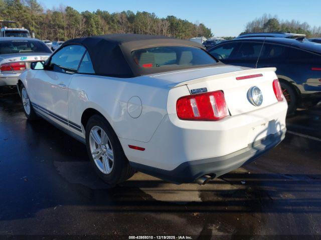 Ford Mustang V6 Image 6