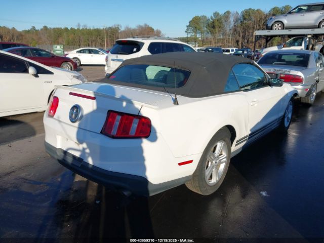 Ford Mustang V6 Image 10