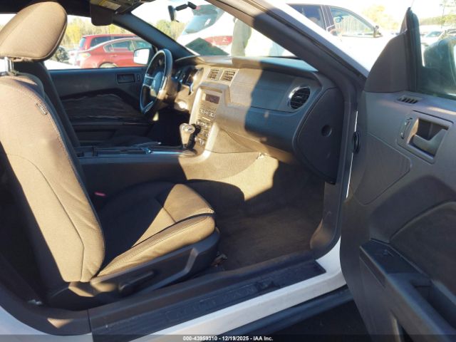 Ford Mustang V6 Image 4