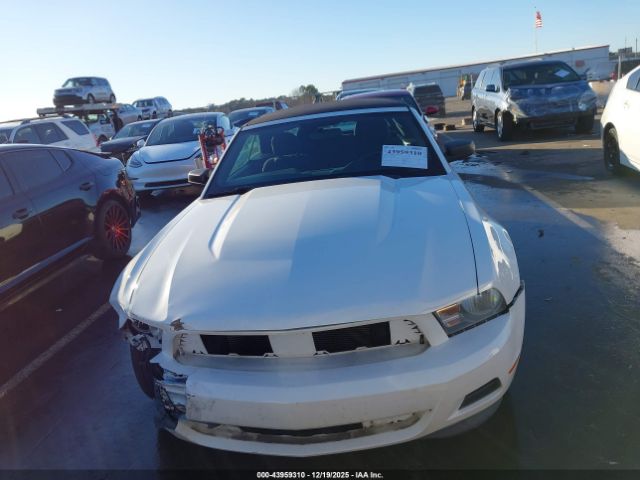 Ford Mustang V6 Image 12