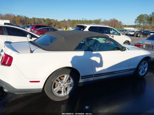 Ford Mustang V6 Image 11