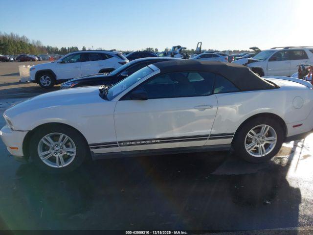 Ford Mustang V6 Image 17