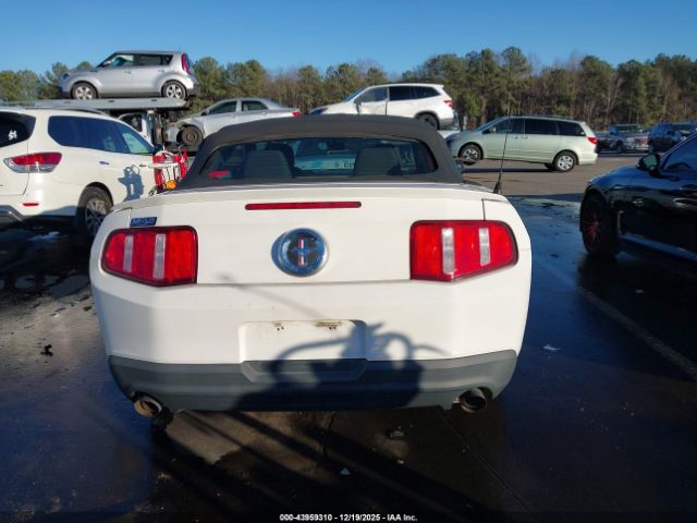 Ford Mustang V6 Image 2