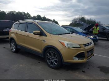  Salvage Ford Escape