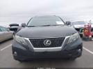 Lexus RX Image 4