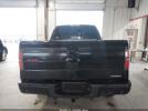 Ford F-150 Fx4 Image 12