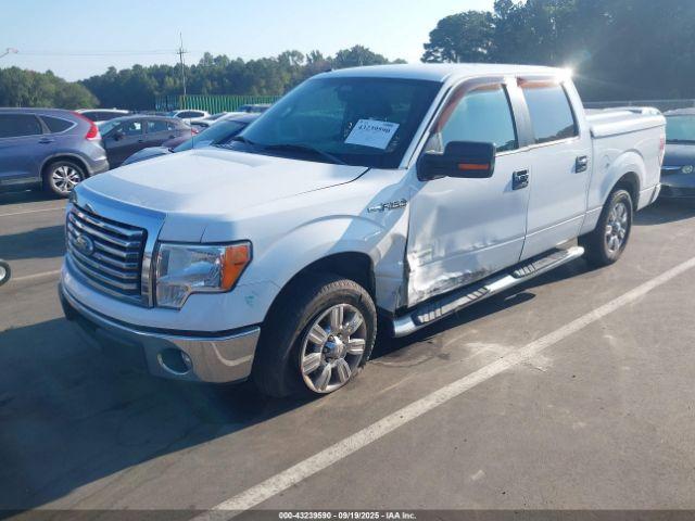 Ford F-150 Xlt Image 3