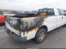 Ford F-150 Xl Image 10