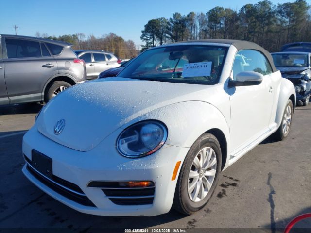 Volkswagen Beetle Image 4