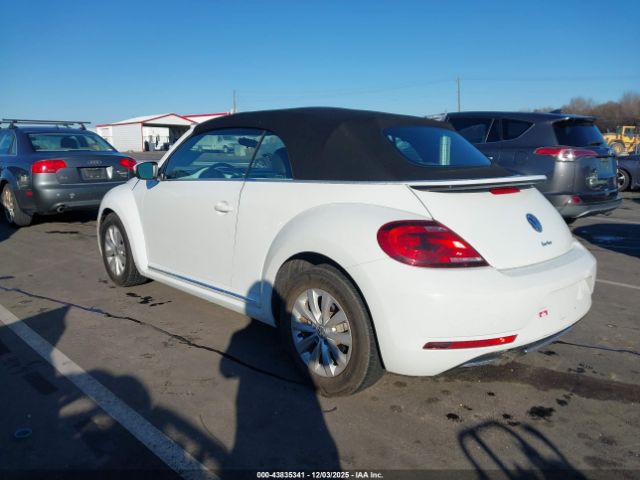 Volkswagen Beetle Image 6