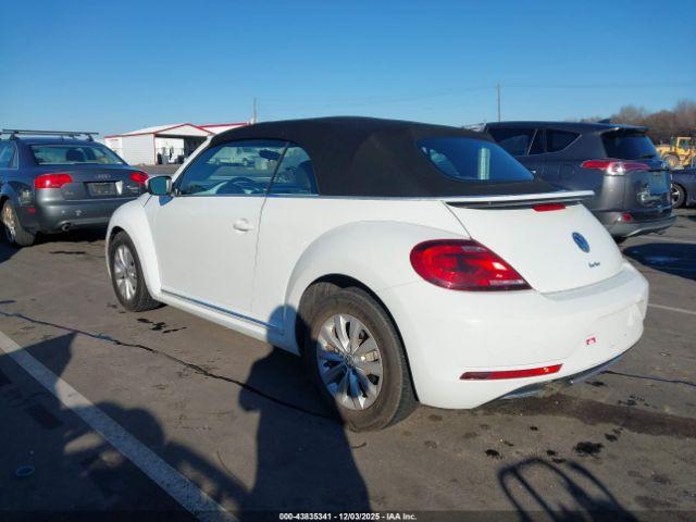 Volkswagen Beetle Image 6