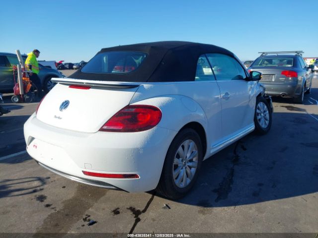 Volkswagen Beetle Image 16