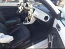 Volkswagen Beetle Image 14