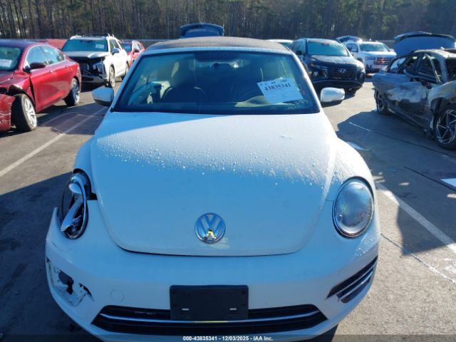 Volkswagen Beetle Image 13