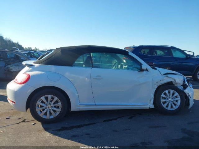 Volkswagen Beetle Image 7