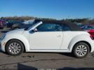 Volkswagen Beetle Image 12