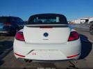 Volkswagen Beetle Image 10