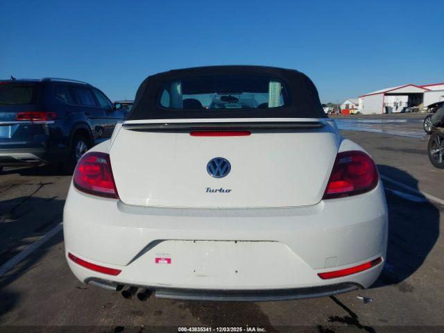 Volkswagen Beetle Image 10