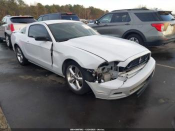  Salvage Ford Mustang