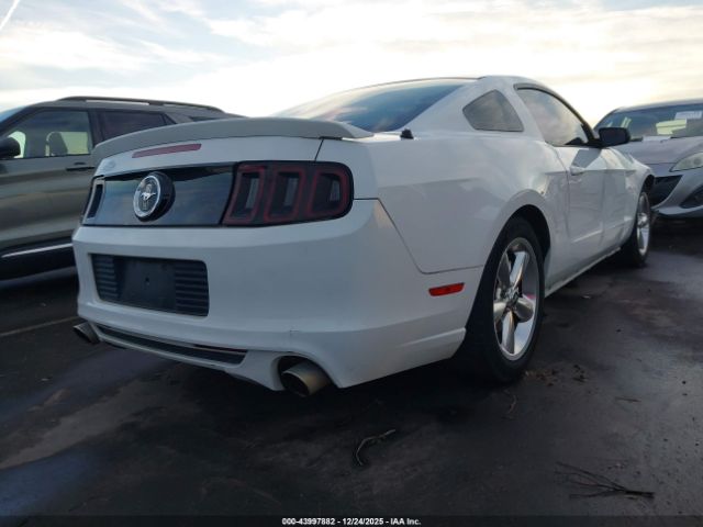 Ford Mustang V6 Image 4