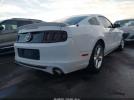 Ford Mustang V6 Image 4
