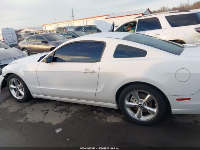 Ford Mustang V6 Image 8