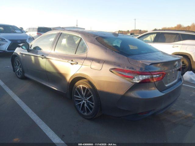 Toyota Camry Xle Image 8